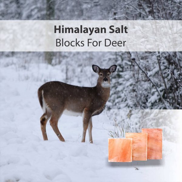 Himalayan Pink Salt Block for Deer Himalayan Koh