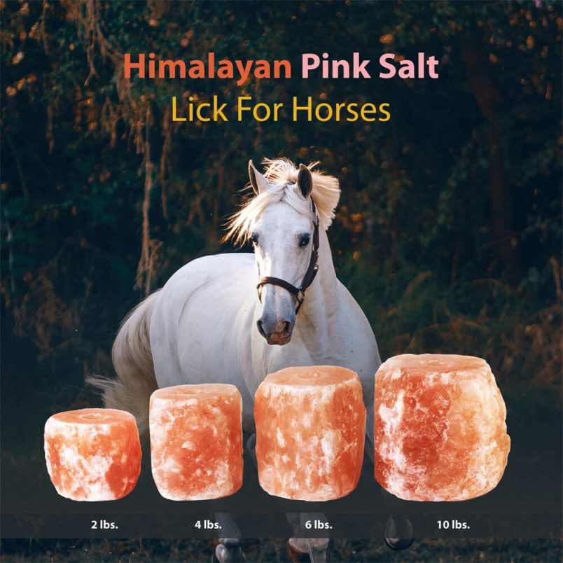 Himalayan Pink Salt Licks for Horses Himalayan Koh